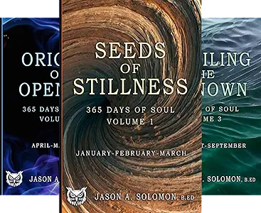 365 Days of SOUL book cover