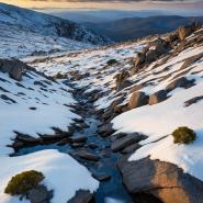 aussie-landscape-58