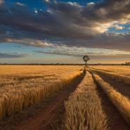 aussie-landscape-37