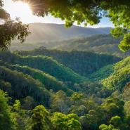 aussie-landscape-46
