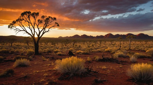 aussie-landscape-65