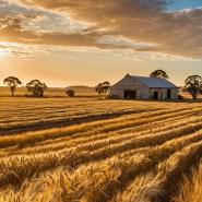 aussie-landscape-35