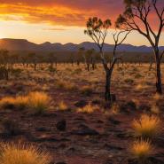 aussie-landscape-61