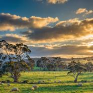 aussie-landscape-30