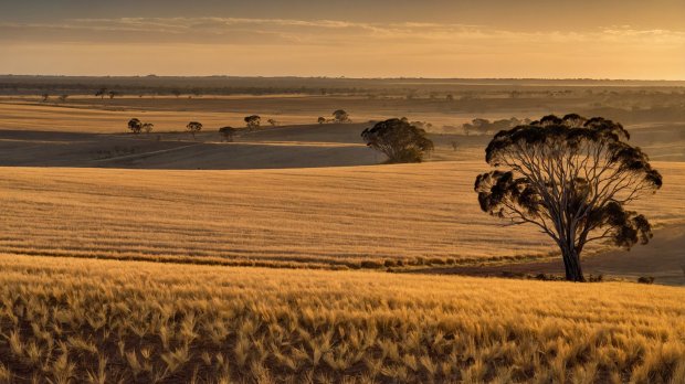 aussie-landscape-39