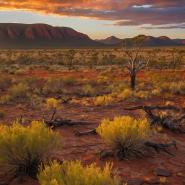 aussie-landscape-60