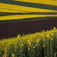 aussie-landscape-5