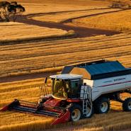 aussie-landscape-31