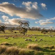 aussie-landscape-27