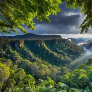 aussie-landscape-47