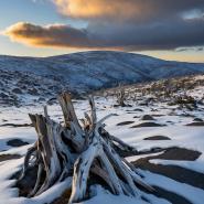 aussie-landscape-55