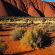 aussie-landscape-11