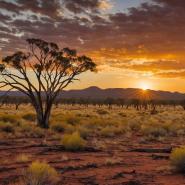 aussie-landscape-64
