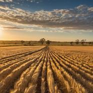 aussie-landscape-32