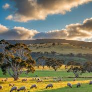 aussie-landscape-28