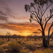 aussie-landscape-62