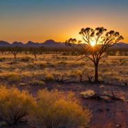aussie-landscape-63