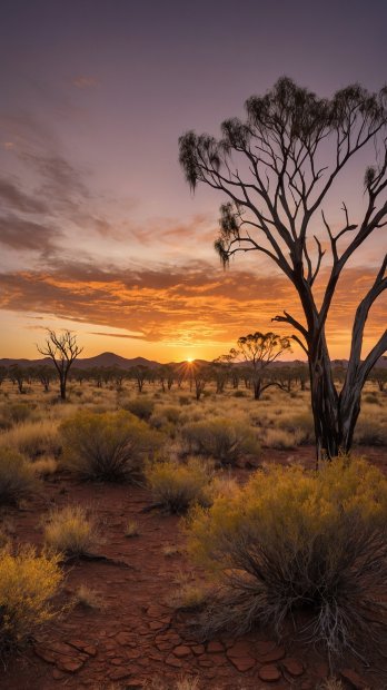 aussie-landscape-62