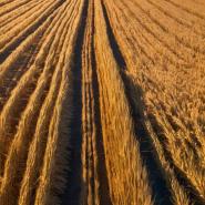 aussie-landscape-33