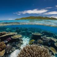 aussie-landscape-17