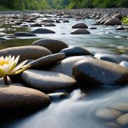 sacred-stones-10