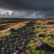 sacred-stones-65