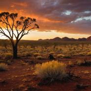 aussie-landscape-65