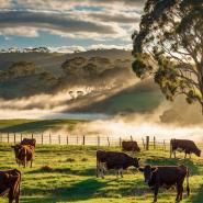 aussie-landscape-23